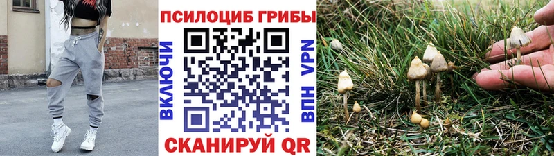 Псилоцибиновые грибы MAGIC MUSHROOMS  Фёдоровский 